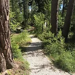 Tahkuna Forest House Nyaraló