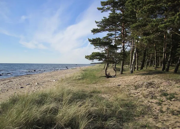 Holiday home Tahkuna Forest House *